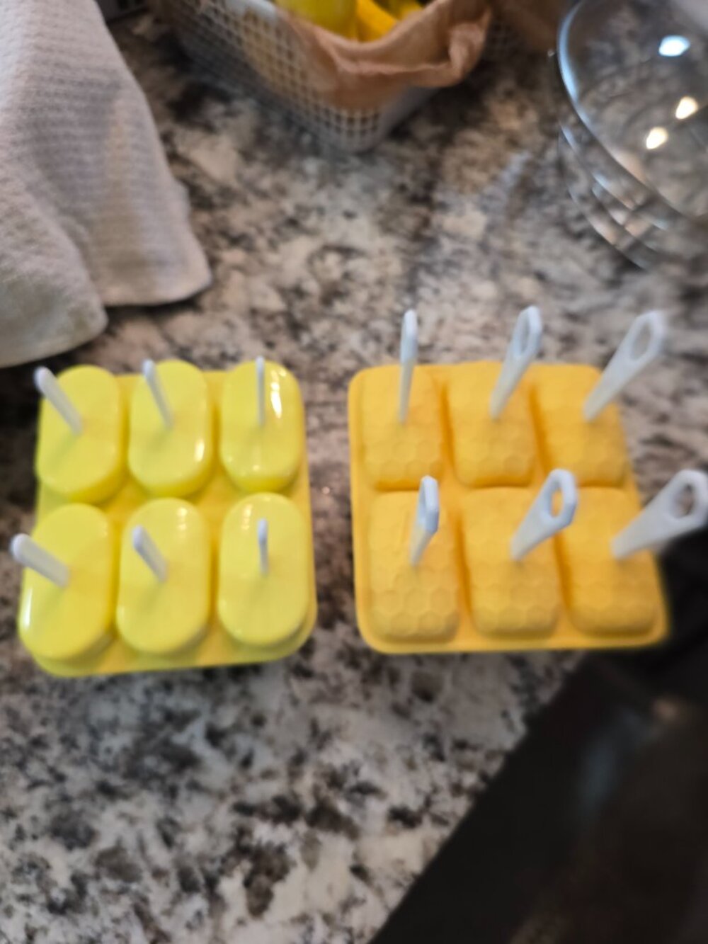 Silicon Popsicle Molds Set of 2 Summertime Treats